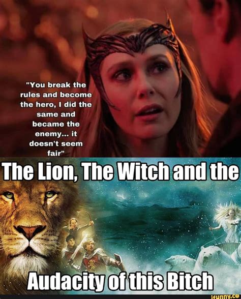 The Lion Witch Wardrobe Meme Renaissance: Exploring its Revival